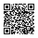 QR IVF Armtraggurte для взрослых schwarz