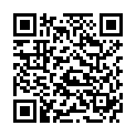 QR Gribi Sicherheitsnadel 4 штуки