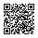 QR Сильверетте серебряные накладки на соски для кормящих женщин 2 шт.