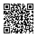 QR LUCIDO MOEBELPFLEGEMITTEL