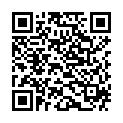 QR Spagyrik Ginkgo Biloba 500мл