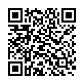 QR Spagyrik Hypericum Perforatum 500мл