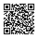 QR Spagyrik Rhus Toxicodendron 500мл