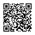 QR Herba Gummikopfburste mit Metalstift 5261