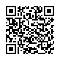 QR Herba Fohnhaarburste 38мм Rund 5265