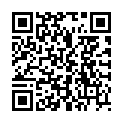 QR EVICEL FLASCHENWAGEN