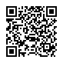 QR CLEAN-RECORD REINIGUNGS 3 BLAU