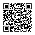 QR BRAUN DESINFEKTIONSSAEULE