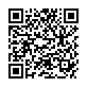 QR AESCULAP GIPSSCHERE 23 STILLE