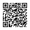 QR HEINE LADEGERAET MIT GRIFF