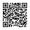 QR CLEAN-RECORD REINIGUNGS 3 BLAU