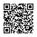 QR PARI VORT ANTIST VORSCHALTKA