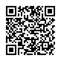 QR NIGERSAN AUSLEITUNG ASPITOX