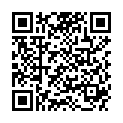 QR TFE PLEDGETS 2X4CM 12 STK