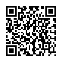 QR HAUSMANN PINZE SCHRAEG DISP WI