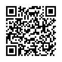 QR ASSURA COMF Ileo Hide 2т 40мм в обшивке миди 40 сумок