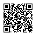 QR FLAEM AEROSOL EASYNEB III