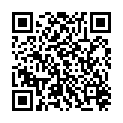 QR STAUDT MANSCHETT CELLU-HOSE 46