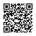 QR PARAKITO DISPL ARMB PARTY MUEC