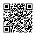 QR AGFA ENTWICKLER G138 2X20 LT