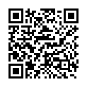 QR RIMADYL 100MG AD US VET. K