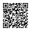 QR HALYARD EISAUFLAGEBEUTEL GR