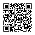 QR PDS II 2X70CM VIOLETT 1 24 STK