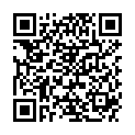 QR BORT VARIOPLUS RUECKENBAND GR3