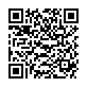 QR DIFRAX ELEKTRISCHE MILCHPUMPE