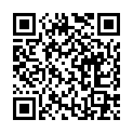 QR HOLLIST COMP ILEO 1T 29 KON HF