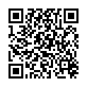 QR MEDIDOR SATTEL HOCKER