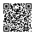 QR STAUDT MANSCHET HANDSCHUH S