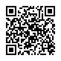 QR LAUBSCHER BEAVERKLINGEN 24 STK