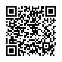 QR LAEDI LORDOSENSTUETZE XL +GURT