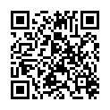 QR AESCULAP FUEHRUNGS HOHLSON