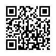 QR MEPILEX BORDER 10X20CM