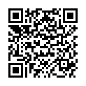 QR PEHA-INSTRUM CHIR SCHERE STUM