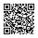 QR MEDIDOR THERAPIE KREISEL HOLZ