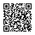 QR Стабильный ортез LordoLoc, размер 6, титан