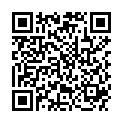 QR SEITENFALTENBTL NO 307 16X8X34