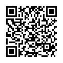 QR VEPOCLEANER GRUNDREINIGER