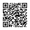 QR PRONEO VERLNGERUNGSSET 120CM E