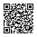 QR SOLUBRUX KNIRSCHERSCHIENE GRUE