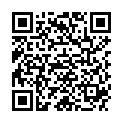 QR VARISMA MIKROFASER SCHENKE