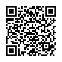 QR VARISMA MIKROFASER SCHENKE