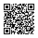 QR VARISMA MIKROFASER SCHENKE