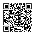 QR LAEDI SPRUNGGEL STUETZBANDAG L