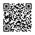 QR HOLLIST INCARE BEINBTL RAPID