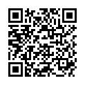 QR TEMPUR REISEKISSEN GRAU