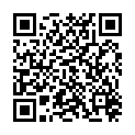 QR STAUDT MANSCHETTEN RUECKEN M